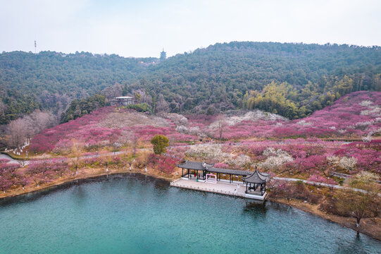 航拍张家港香山梅岭风景区