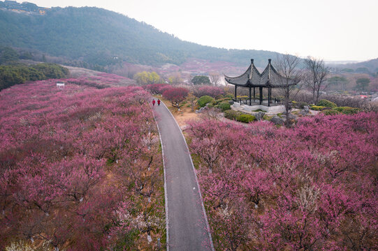 航拍张家港香山梅岭风景区