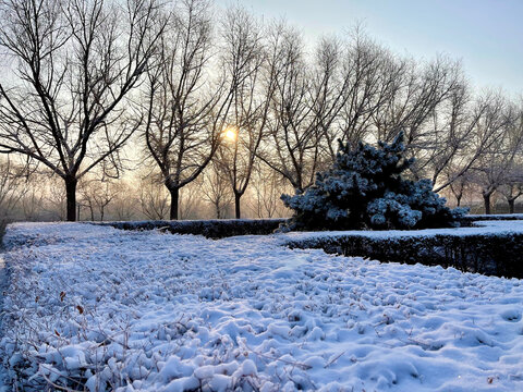 雪景