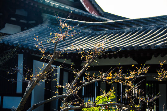 西安青龙寺