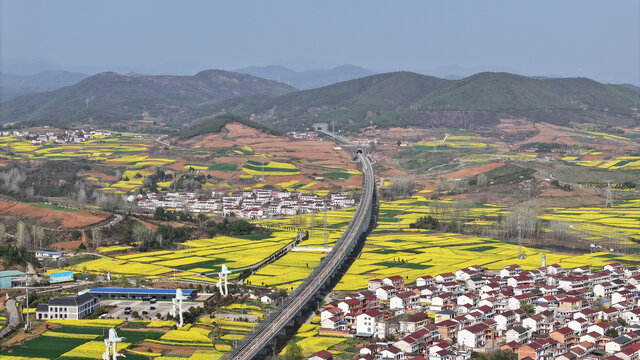 航拍汉中市洋县油菜花田