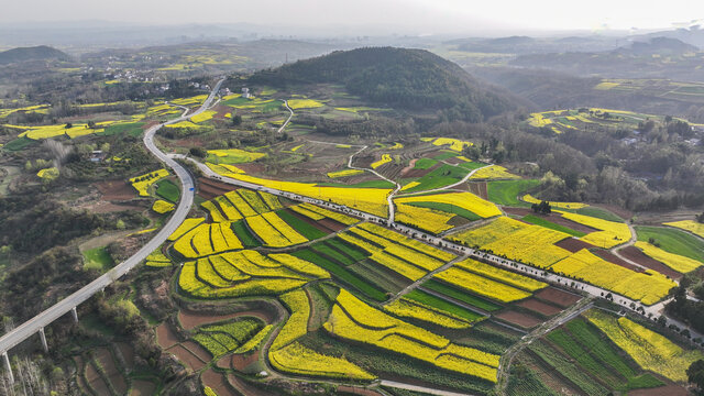 航拍汉中市洋县油菜花田