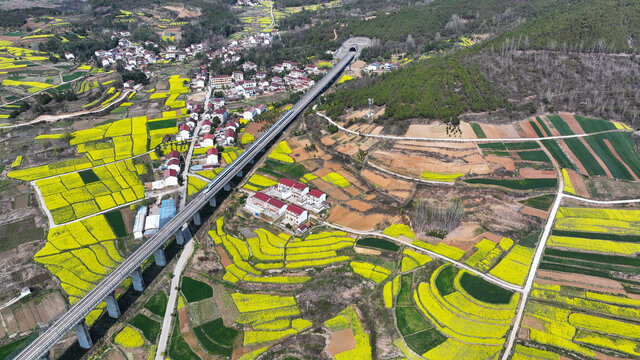 航拍汉中市洋县油菜花田