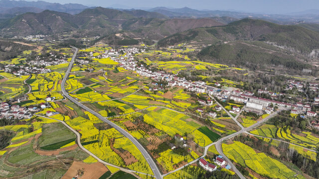 航拍汉中市洋县油菜花田