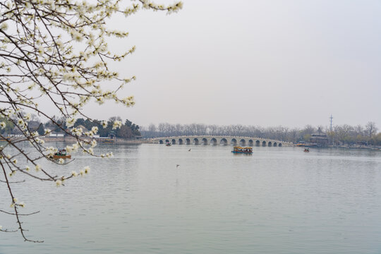 春暖花开公园湖中美景