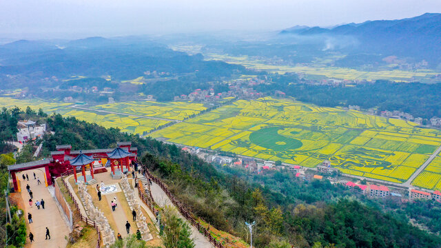 湖南省衡阳县油菜花竞相争放