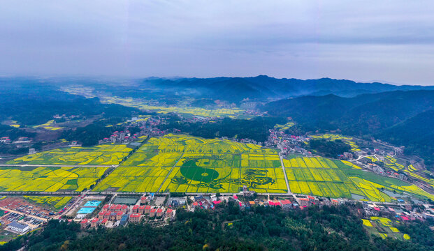 湖南省衡阳县油菜花竞相争放