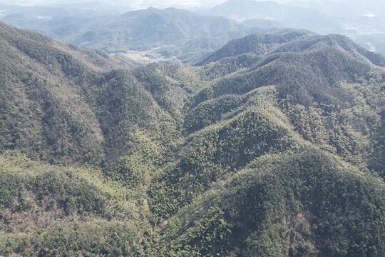 大山深处