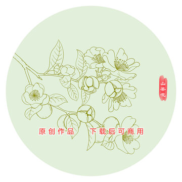 山茶花线稿