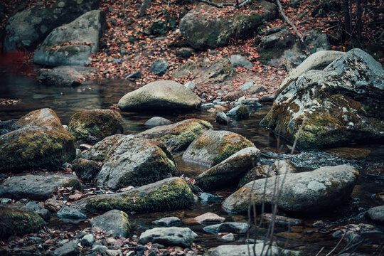 石头青苔溪流流水落叶