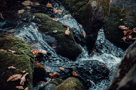 石头青苔溪流流水落叶