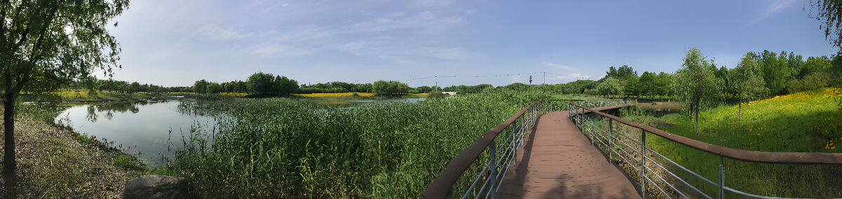 湿地公园全景图