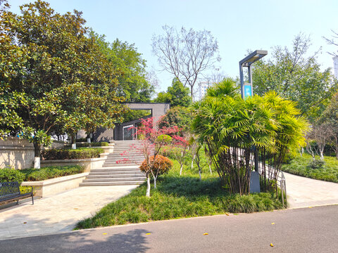 公园石梯石阶