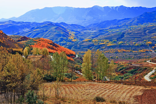 西宁海东扎哈公路秋色秋景