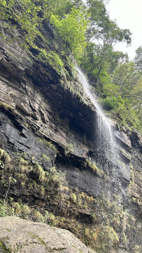 高山流水