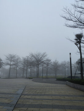 大雾下的城市街景