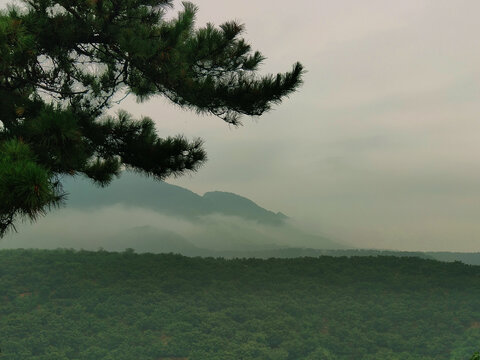 山中云海