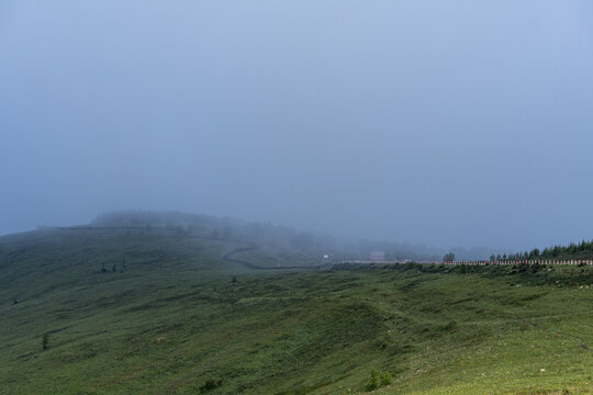 高山草原晨雾景观