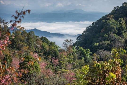 景迈山云海日出自然风光