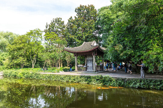 花港观鱼