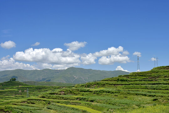 夏日乡村