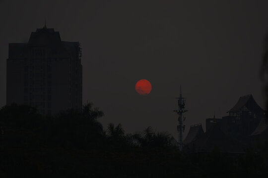 夕阳下树木的轮廓和剪影