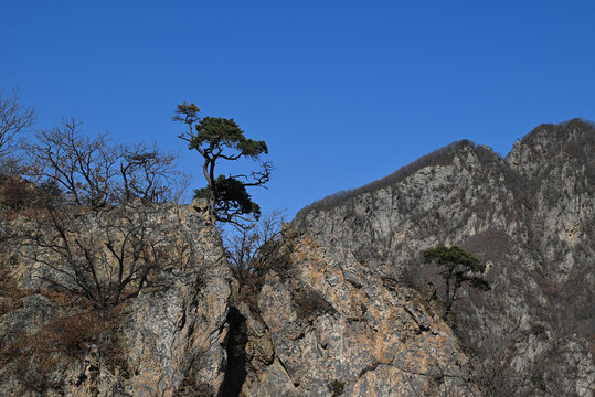 大山风光