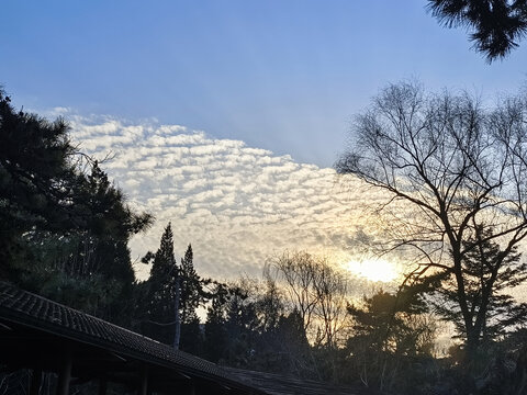 傍晚的云彩天空