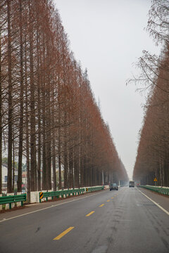 道路