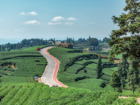 茶山风光