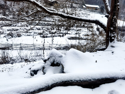 雪景