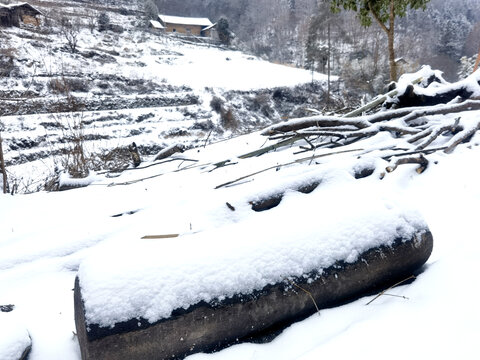 雪景