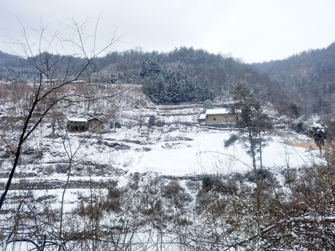 乡村雪景