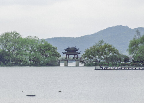 曲岸风荷玉带桥