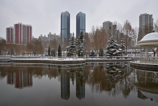 石家庄丁香园雪景