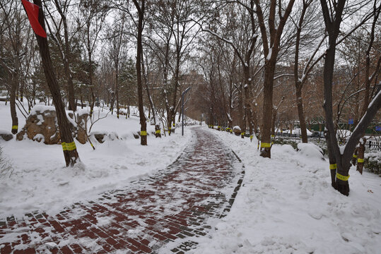 石家庄绿洲公园雪景