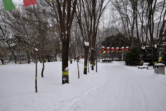 石家庄绿洲公园雪景