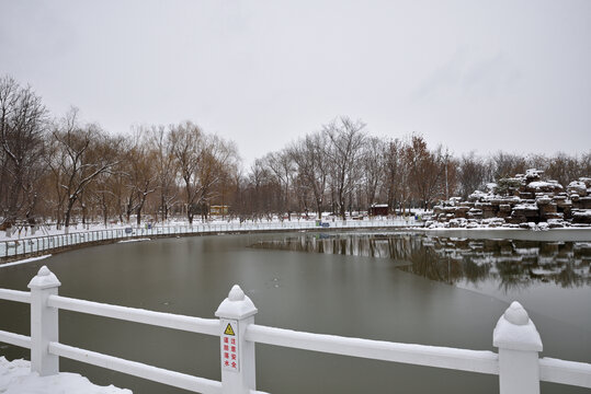 石家庄东环公园雪景