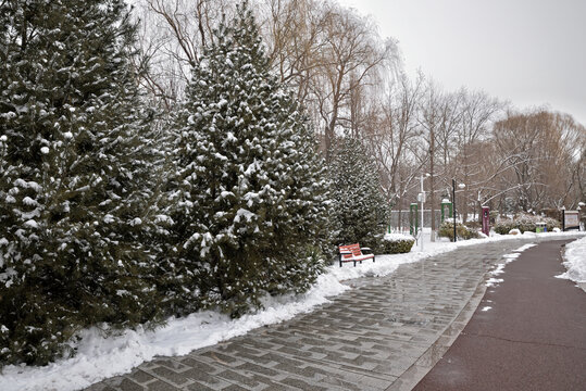 石家庄东环公园雪景