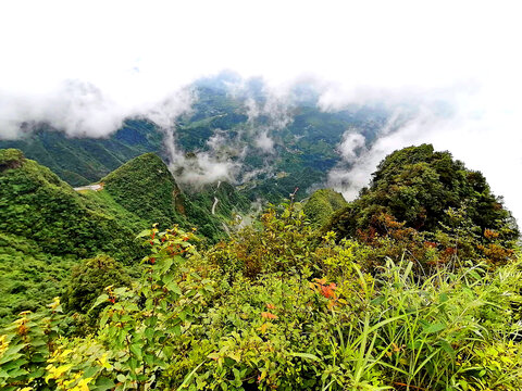 重庆秀山川河盖风光