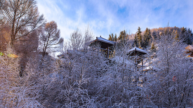 冰雪焉支山