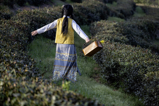 古风采茶女