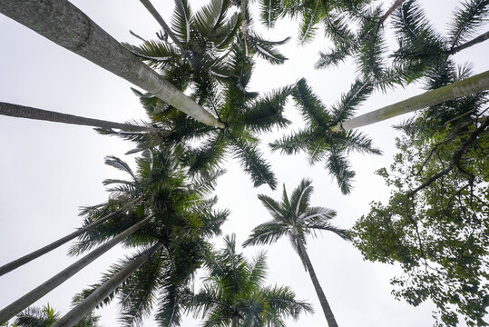 王宗树植物植被