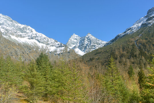 阿坝四姑娘山双桥沟雪山玉兔峰