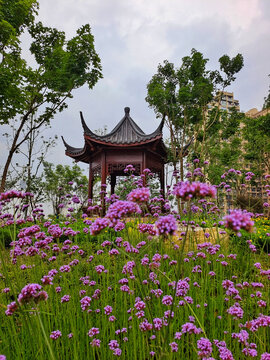 自贡市鸢山公园花中亭