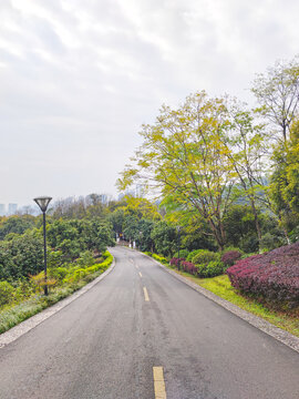 公园健身跑道