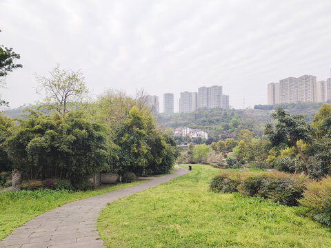 公园石板路
