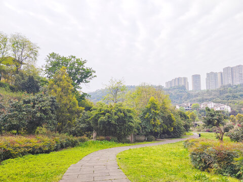 公园石板路