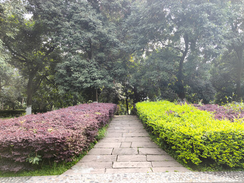 公园石板路