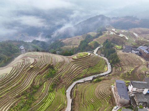 龙脊梯田